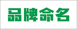 品牌命名