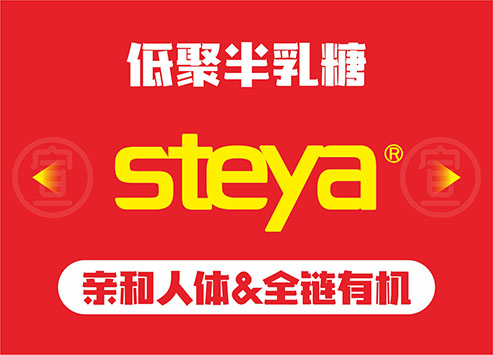 “斯特雅”品牌设计与商标注册